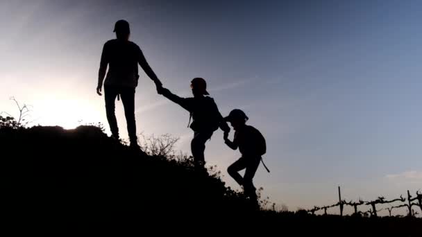 Silhouette Mother Sons Spending Time Together Outdoors Sunny Day — Stock Video