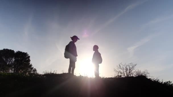 母と息子のシルエット 晴れた日に屋外で一緒に時間を過ごす — ストック動画