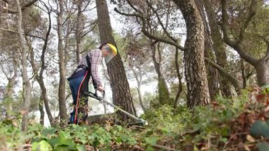 Kadın bahçıvan parkta ya da ormanda çim biçme makinesiyle bitki kesiyor. 