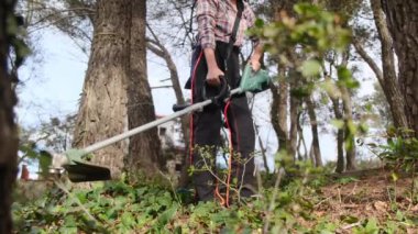 Kadın bahçıvan parkta ya da ormanda çim biçme makinesiyle bitki kesiyor. 