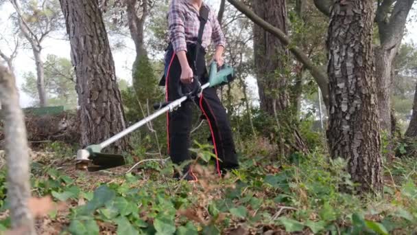 公園や森で芝刈り機を用いる女性の庭師の切断植物 — ストック動画