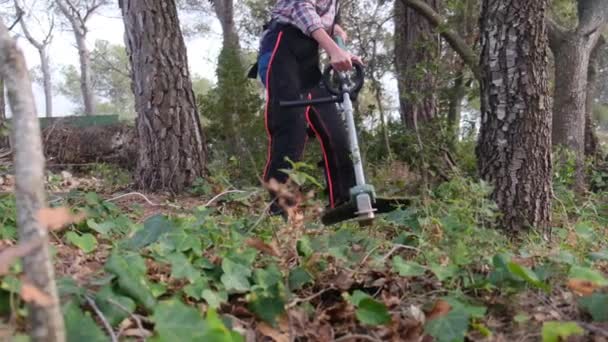 Kvinnliga Trädgårdsmästare Styckningsanläggningar Med Gräsklippare Park Eller Skog — Stockvideo