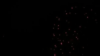 Karanlık gece gökyüzü arka plan üzerinde renkli havai fişek kutlama. Gece açık gökyüzü güzel havai fişek gösteri.