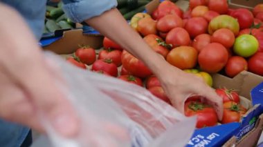 Kadın elinde torbayla domatesleri pazara sürüyor.