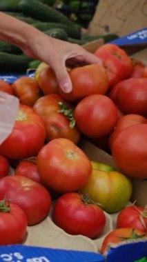 Kadın elinde torbayla domatesleri pazara sürüyor.