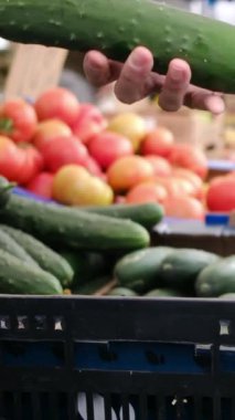 Markette salatalık seçen genç bir kadın.