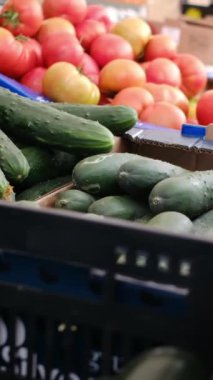 Markette salatalık seçen genç bir kadın.