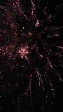 Karanlık gece gökyüzü arka plan üzerinde renkli havai fişek kutlama. Gece açık gökyüzü güzel havai fişek gösteri.