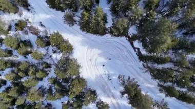 Kar ve kayak izleri olan güzel ormanın havadan görünüşü