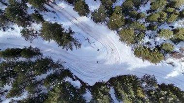 Kar ve kayak izleri olan güzel ormanın havadan görünüşü
