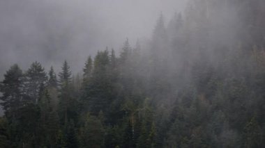 Görkemli, puslu dağlar, hava aracı görüntüleri. 