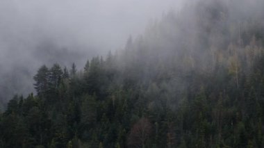 Görkemli, puslu dağlar, hava aracı görüntüleri. 