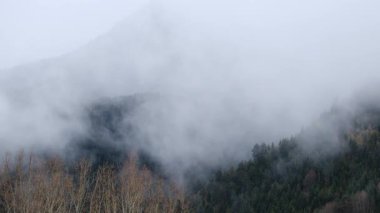 Görkemli, puslu dağlar, hava aracı görüntüleri. 