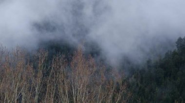 Görkemli, puslu dağlar, hava aracı görüntüleri. 