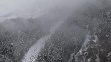 Karla kaplı orman ağaçlarıyla kaplı dağlar. Kışın doğa. seyahat drone videosu 