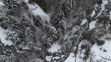 Karlar dağları kapladı. Drone videosu 