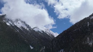 Uçan İHA videosu. Görkemli dağlar ağaçlarla kaplı. 