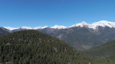 Görkemli dağlar ağaçlarla kaplı. uçan drone videosu 