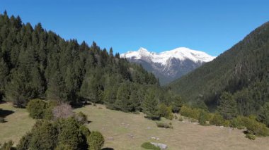 Manzaralı dağlar insansız hava aracı videosuyla kaydedildi. Ağaçlı tepeler 