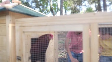 Tavuklu tavuk kümesinde iki küçük çocukla ağır çekim videosu. 