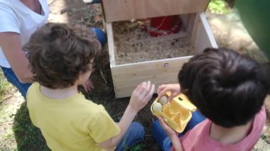 Kırsal hayat. Tavuk kümesinde yumurta toplayan iki küçük çocukla ağır çekim videosu. 