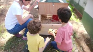 Kırsal hayat. Tavuk kümesinde yumurta toplayan iki küçük çocukla ağır çekim videosu. 