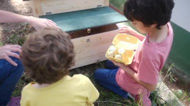 Kırsal hayat. Tavuk kümesinde yumurta toplayan iki küçük çocukla ağır çekim videosu. 