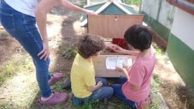 Kırsal hayat. Tavuk kümesinde yumurta toplayan iki küçük çocukla ağır çekim videosu. 