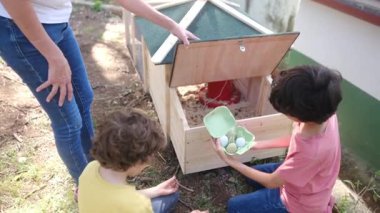 Kırsal hayat. Tavuk kümesinde yumurta toplayan iki küçük çocukla ağır çekim videosu. 