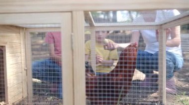 İki çocuklu bir kadın köyde tavuk kafesini kontrol ediyor. Yavaş çekim videosu  