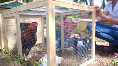 Yavaş çekim videosu. İki çocuklu bir kadın köyde tavuk kafesi kontrol ediyor. 