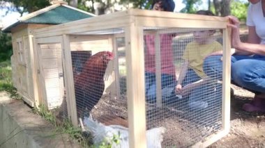 Yavaş çekim videosu. İki çocuklu bir kadın köyde tavuk kafesi kontrol ediyor. 