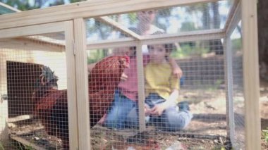 İki çocuklu bir kadın köyde tavuk kafesini kontrol ediyor. Yavaş çekim videosu  