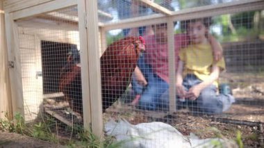 İki çocuklu bir kadın köyde tavuk kafesini kontrol ediyor. Yavaş çekim videosu  