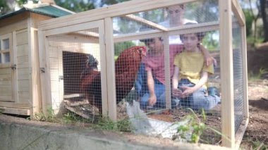 Yavaş çekim videosu. İki çocuklu bir kadın köyde tavuk kafesi kontrol ediyor. 