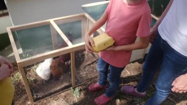 Köy hayatı. İki çocuk ve anne kafesin yakınından tavuk yumurtası alıyor. 