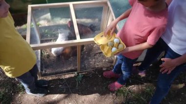 Köy hayatı. İki çocuk ve anne kafesin yakınından tavuk yumurtası alıyor. 