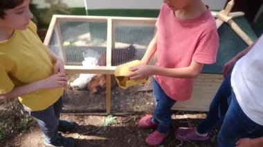 Köy hayatı. İki çocuk ve anne kafesin yakınından tavuk yumurtası alıyor. 