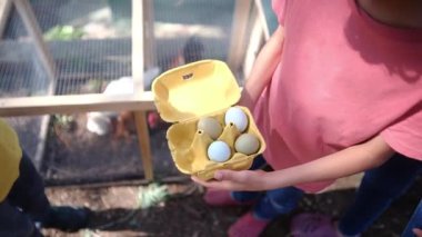 Köy hayatı. İki çocuk ve anne kafesin yakınından tavuk yumurtası alıyor. 