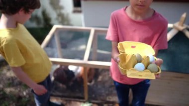 Yavaş çekim bir çiftlikteki huzurlu bir sahneyi yakalıyor. Tavuk kümesindeki iki genç çocuğun etrafı tavuklarla çevrili..
