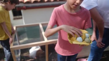 Tavuklu tavuk kümesinden yavaş çekim videosu. Çocuklar yumurta topluyor. 