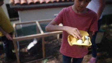 Tavuklu tavuk kümesinden yavaş çekim videosu. Çocuklar yumurta topluyor. 