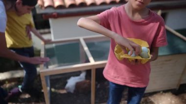 Tavuklu tavuk kümesinde iki küçük çocuğun olduğu yavaş çekim videosu. Kutuda yumurta gösteren bir çocuk. 