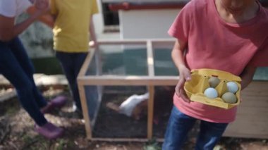 Tavuklu tavuk kümesinden yavaş çekim videosu. Çocuklar yumurta topluyor. 