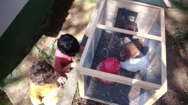 Tavuklu tavuk kümesinde iki küçük çocukla ağır çekim videosu. 