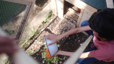 Köydeki kafeste tavuk besleyen bir çocuk. Yavaş çekim videosu. 