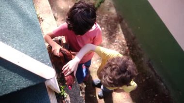 Ağır çekimde bir çiftlikte kırsal alan görüntüsü. Tavuk kümesindeki iki genç çocuğun etrafı tavuklarla çevrili..