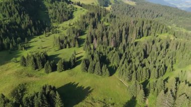 İnsansız hava aracı yeşil yaz ağaçlarıyla dağları yavaş yavaş yakalıyor. 