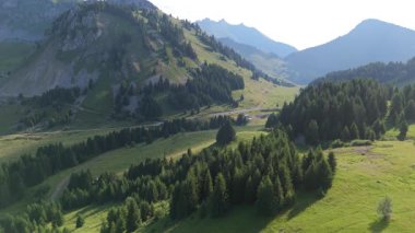 Hava aracı videosu. Orman ağaçlı manzaralı tepeler 