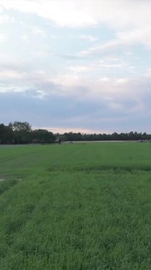 Kırsal alanların hava görüntüsü, dikey drone videosu 